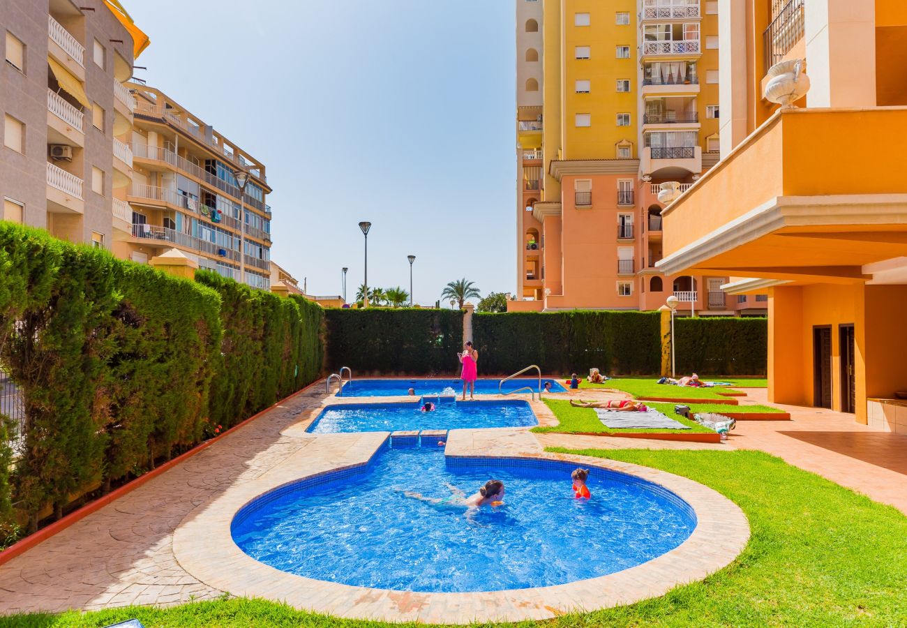 Apartamento en Torrevieja - ATALAYAS 14-9