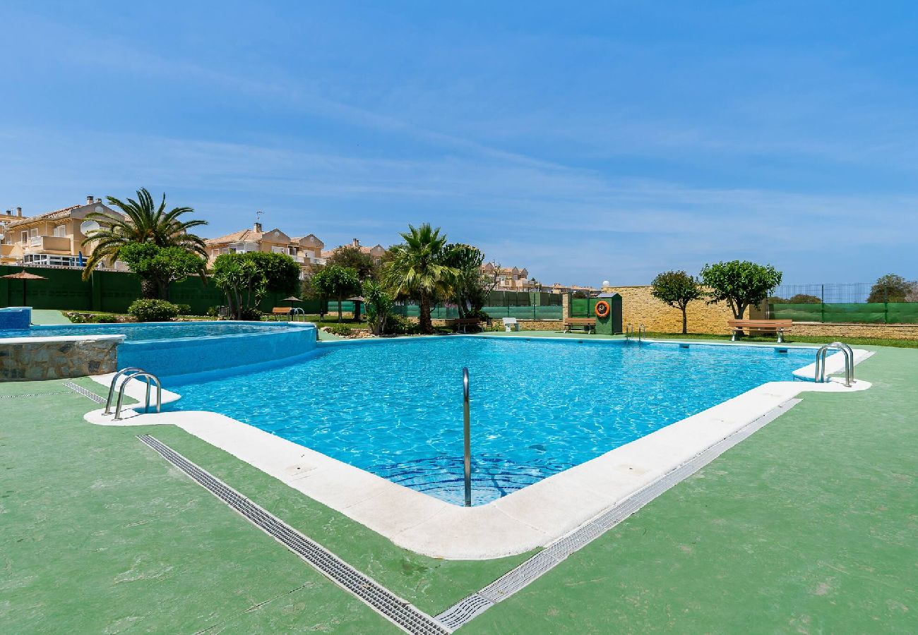 Apartamento en Torrevieja - Perseo Sunrise - Apartamento