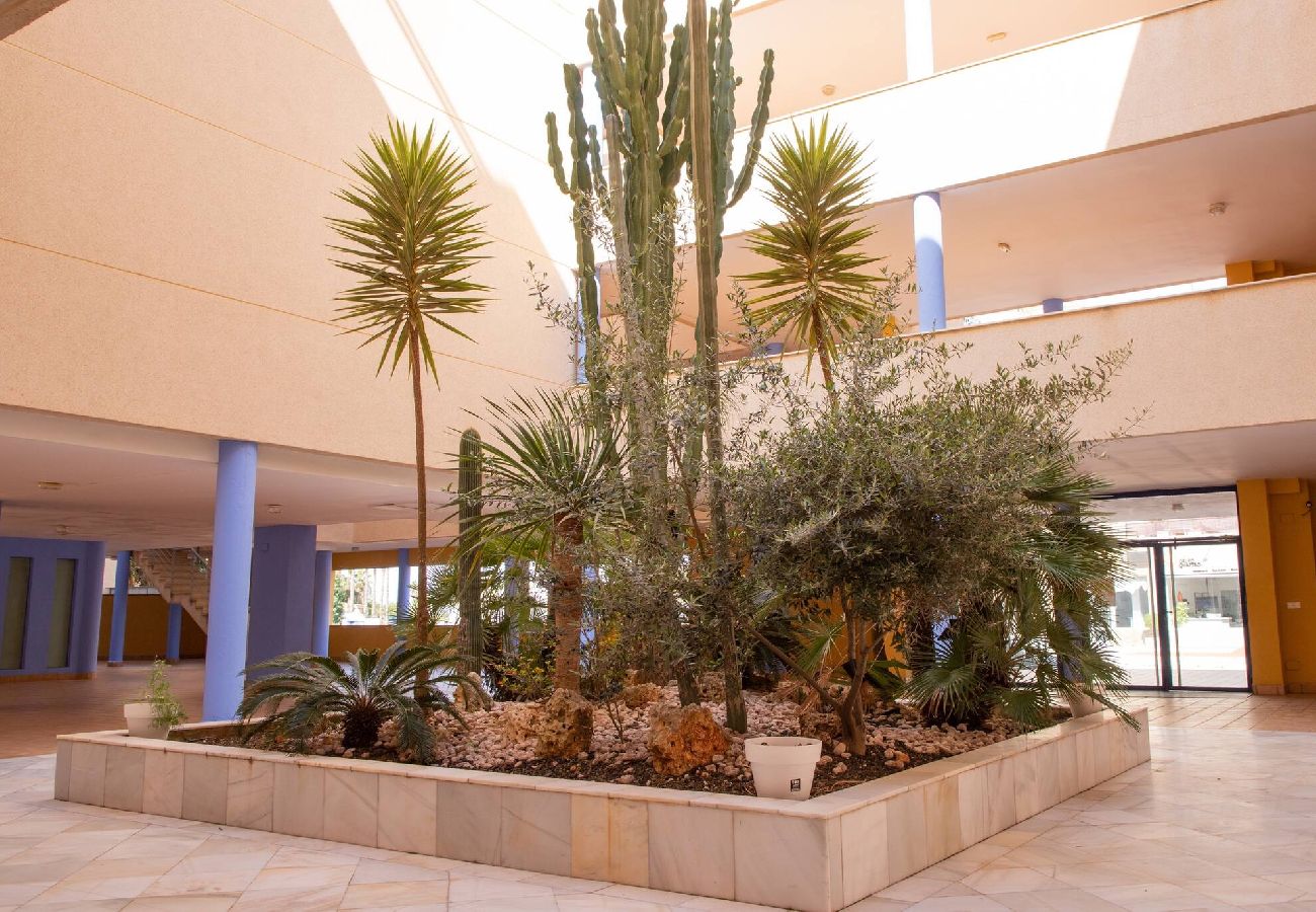 Apartamento en Orihuela Costa - Atico Sunrise Aguamarina