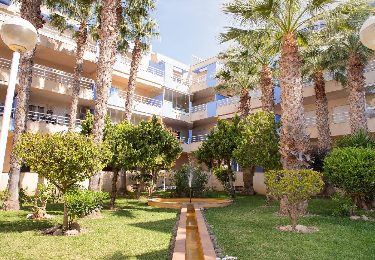 Apartamento en Orihuela Costa - Atico Sunrise Aguamarina