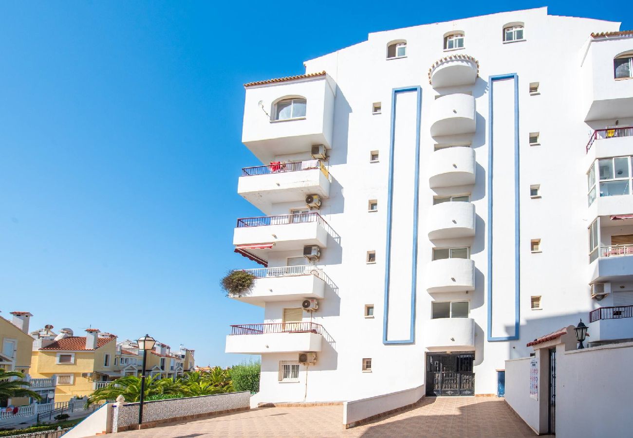 Apartamento en Torrevieja - Estudio Aquiles Sunrise