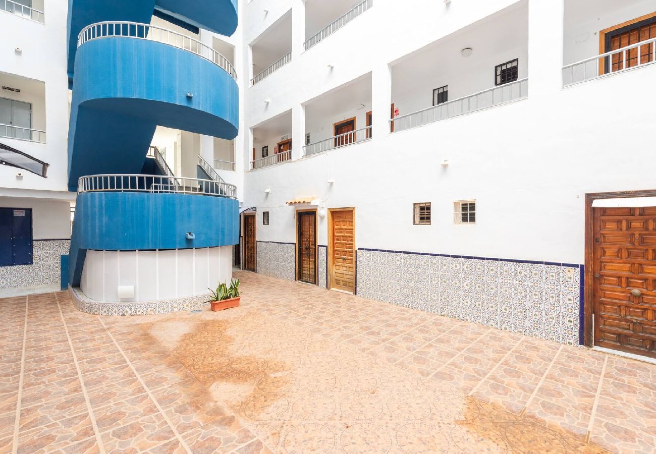 Apartamento en Torrevieja - Estudio Aquiles Sunrise