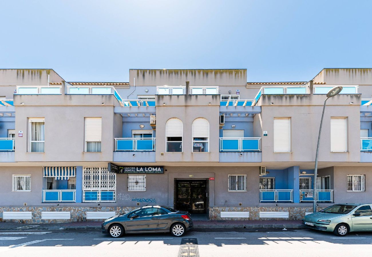 Apartamento en Torrevieja - Calera Sunrise - Apartamento