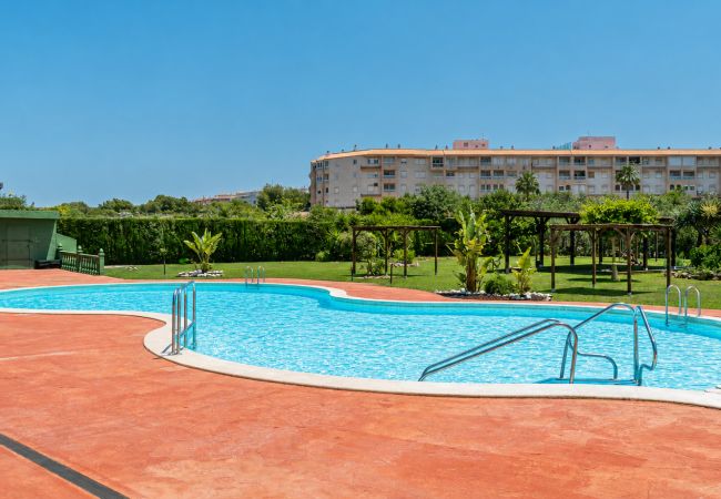 Apartamento en Torrevieja - Naciones Sunrise - Apartamento