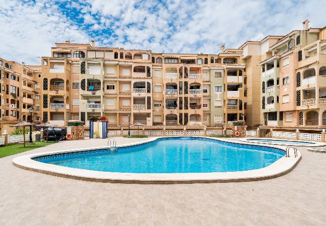 Apartamento en Torrevieja - Jardín Botánico