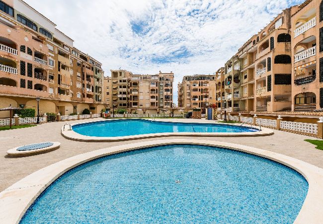 Apartamento en Torrevieja - Jardín Botánico