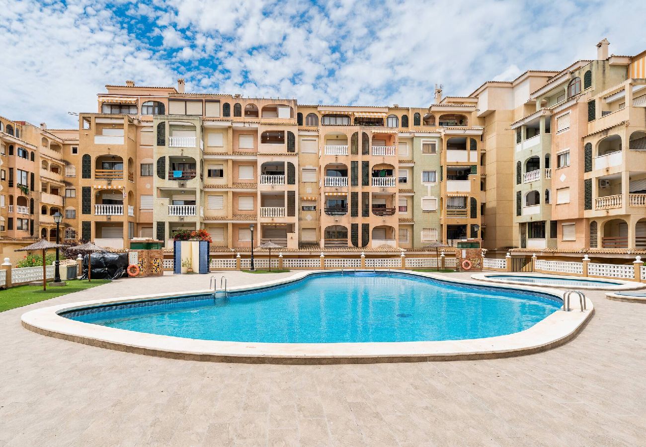 Apartamento en Torrevieja - Jardín Botánico
