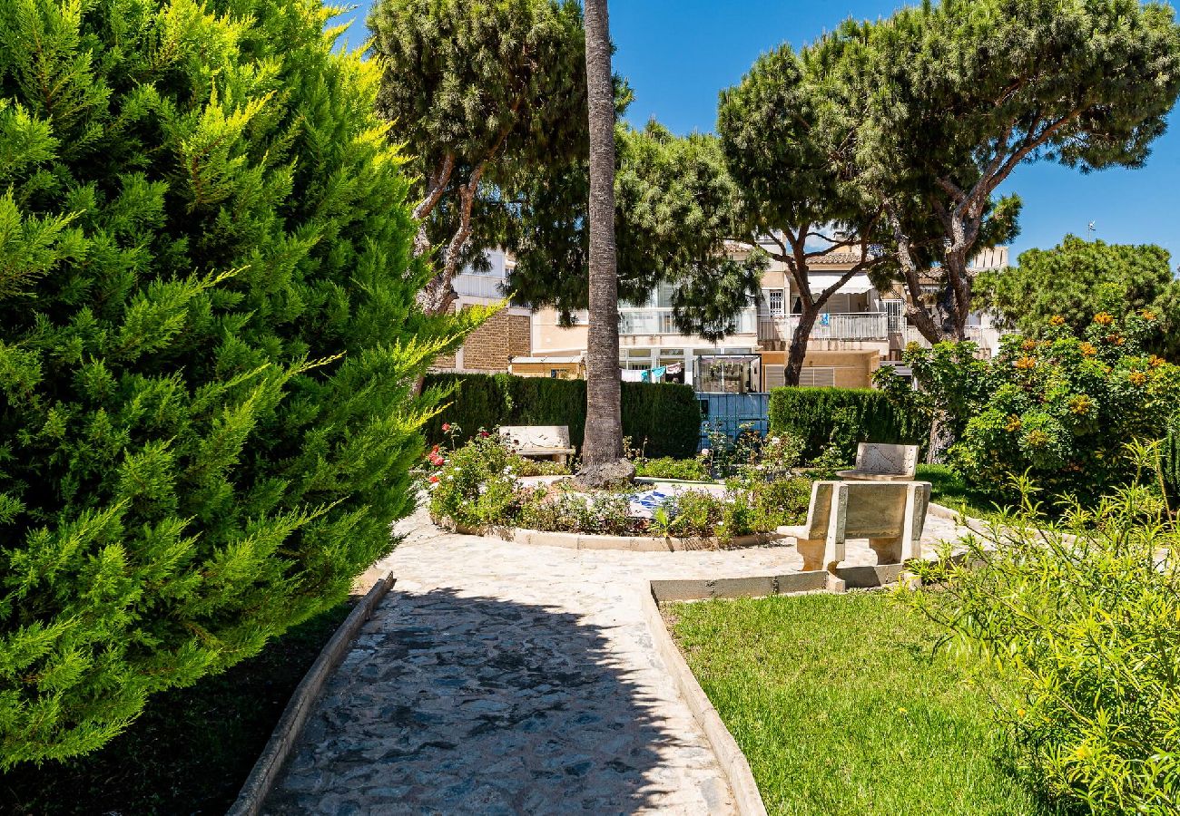 Apartamento en Torrevieja - Coral Sunrise - Bungalow