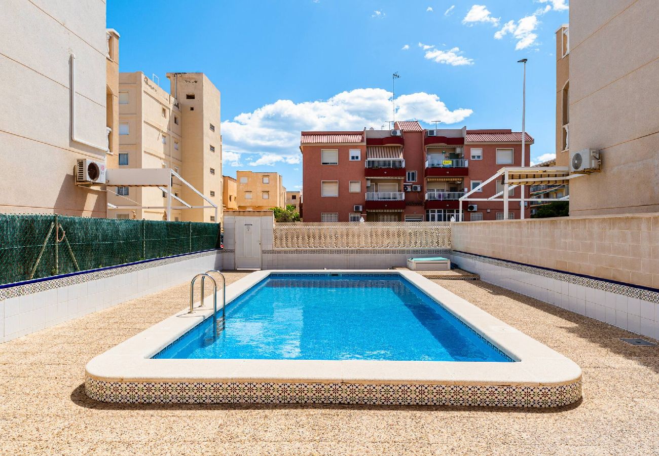 Apartamento en Torrevieja - 🅃 Casa del Chicho