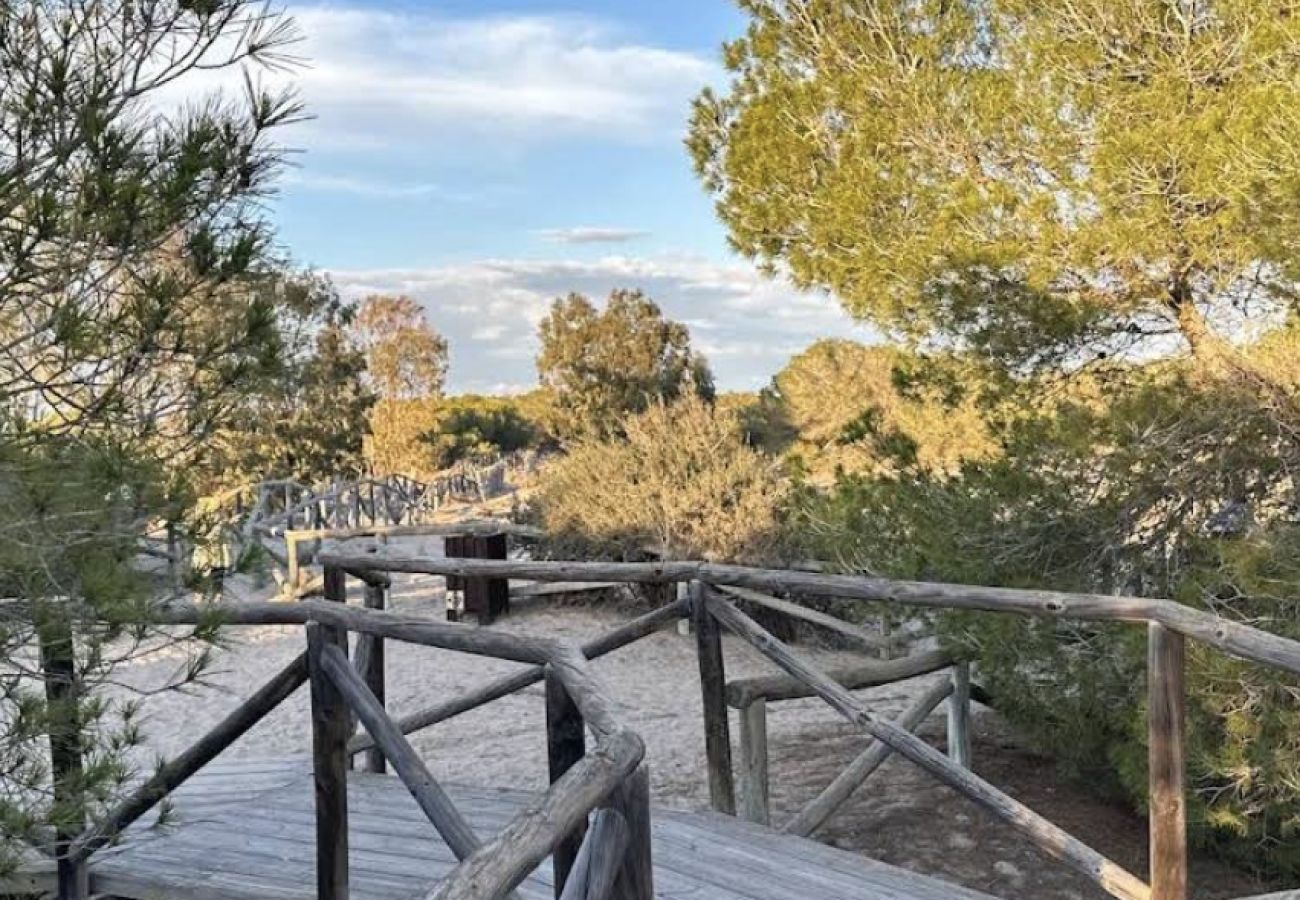 Apartamento en Elche - Playa del Pinet 2