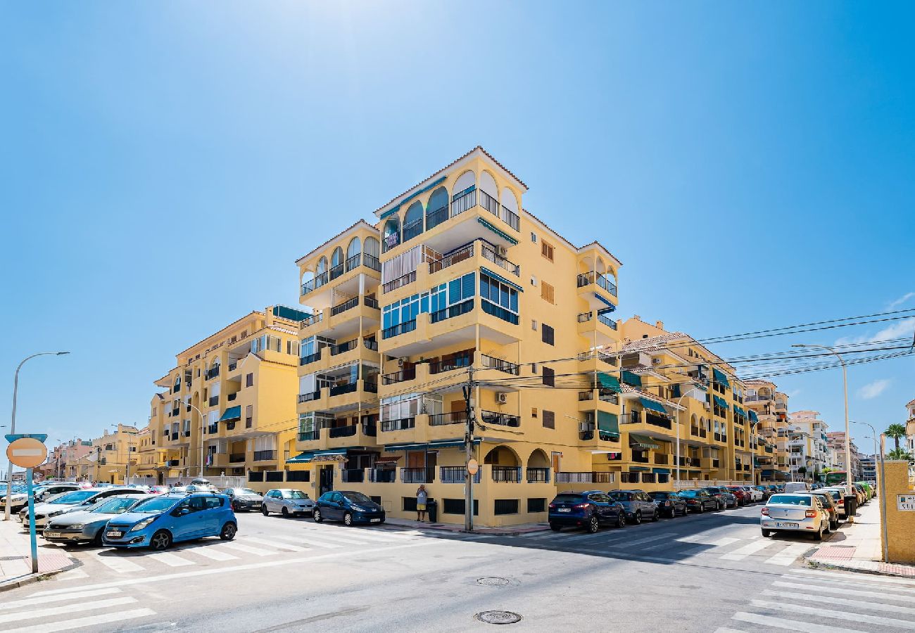 Apartamento en La Mata - 🅃 La Mata Oasis Sunrise