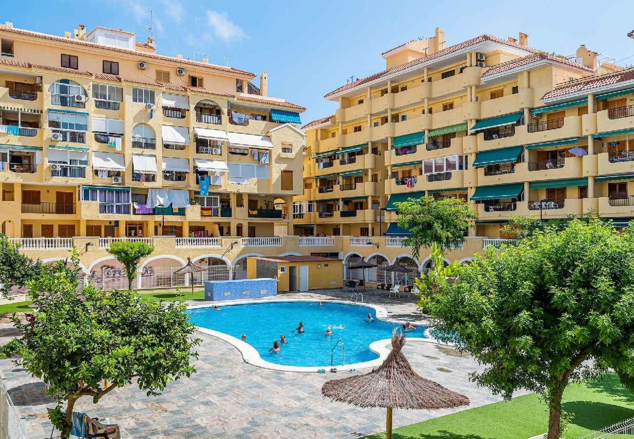 Apartamento en La Mata - 🅃 La Mata Oasis Sunrise