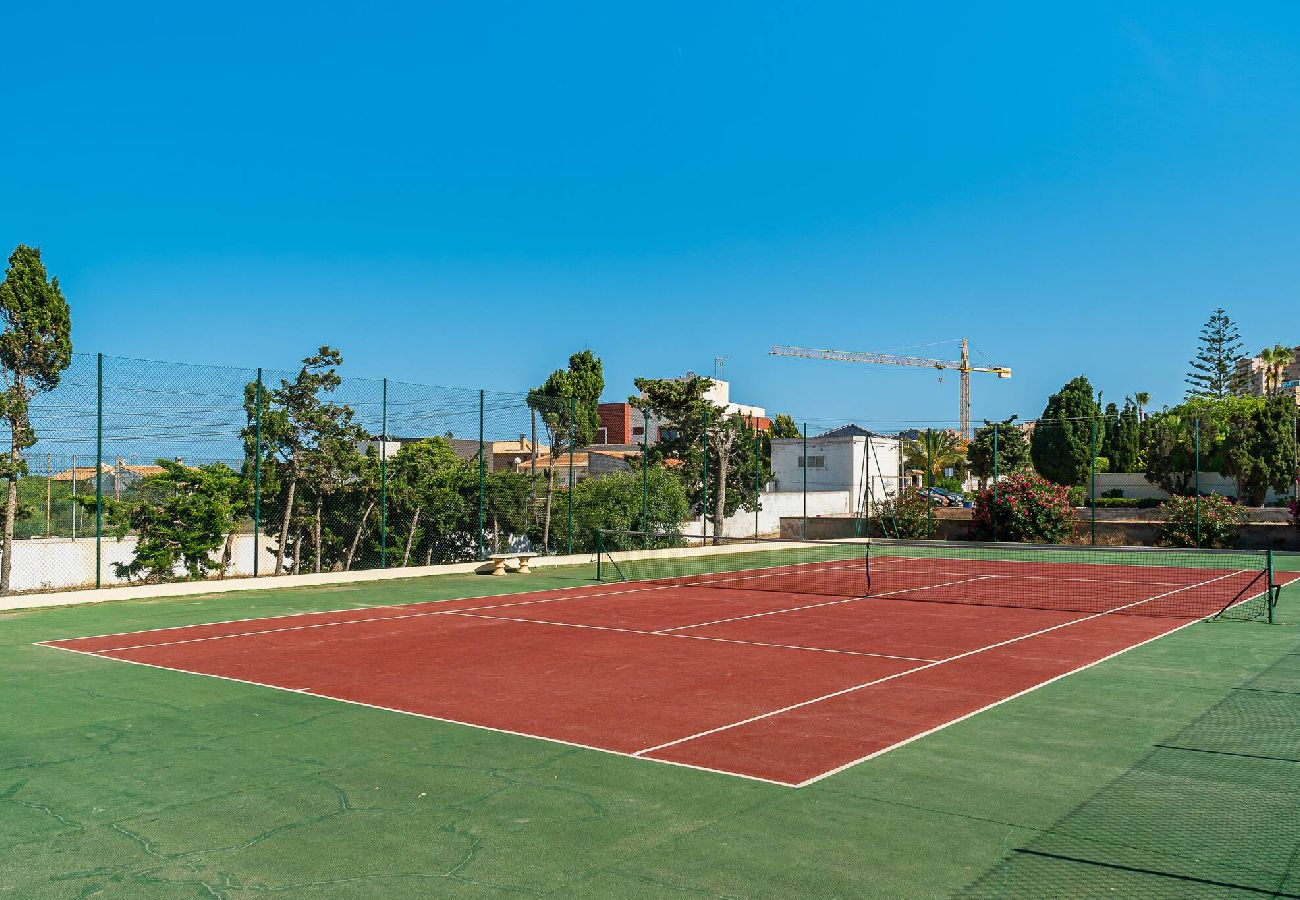 Apartamento en Torrevieja - 🅃 Molino Blanco A