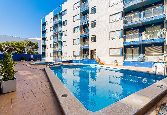 Apartamento en Torrevieja - Orbiplaya 2