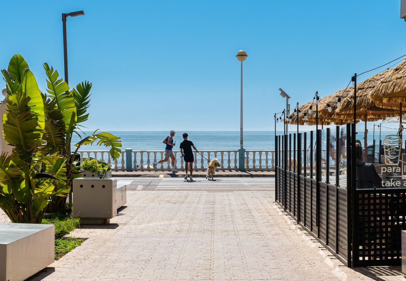 Estudio en Torrevieja - 🅃 Islandia Urban Nest 11