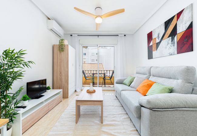 Estudio en Torrevieja - Estudio Santa Trinidad