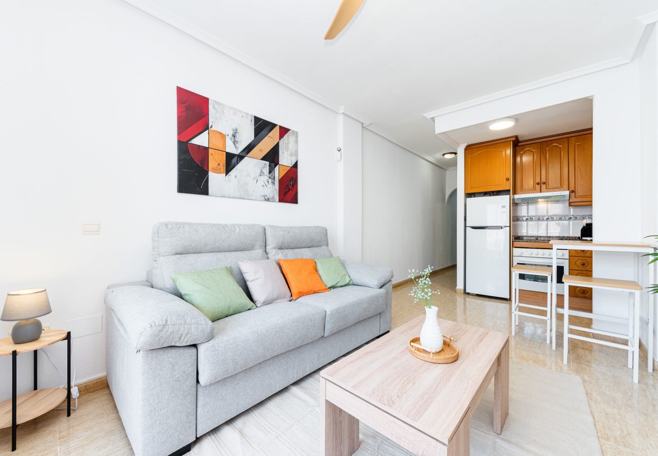 Estudio en Torrevieja - Estudio Santa Trinidad