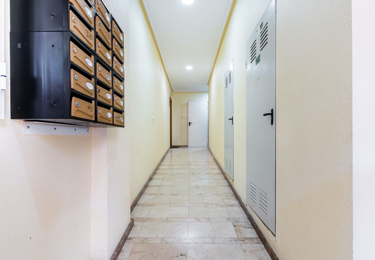 Estudio en Torrevieja - Estudio Santa Trinidad