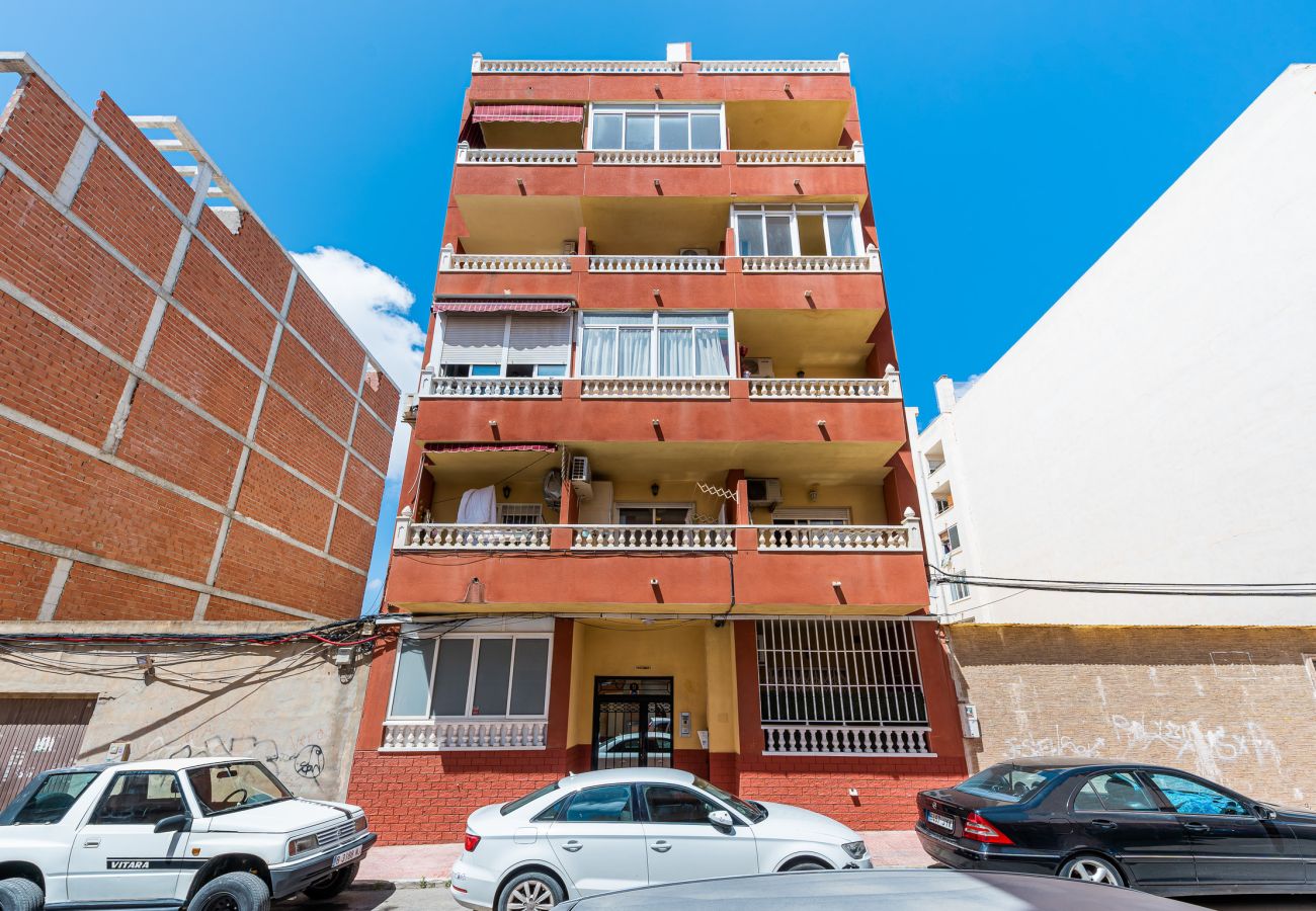Estudio en Torrevieja - Estudio Santa Trinidad