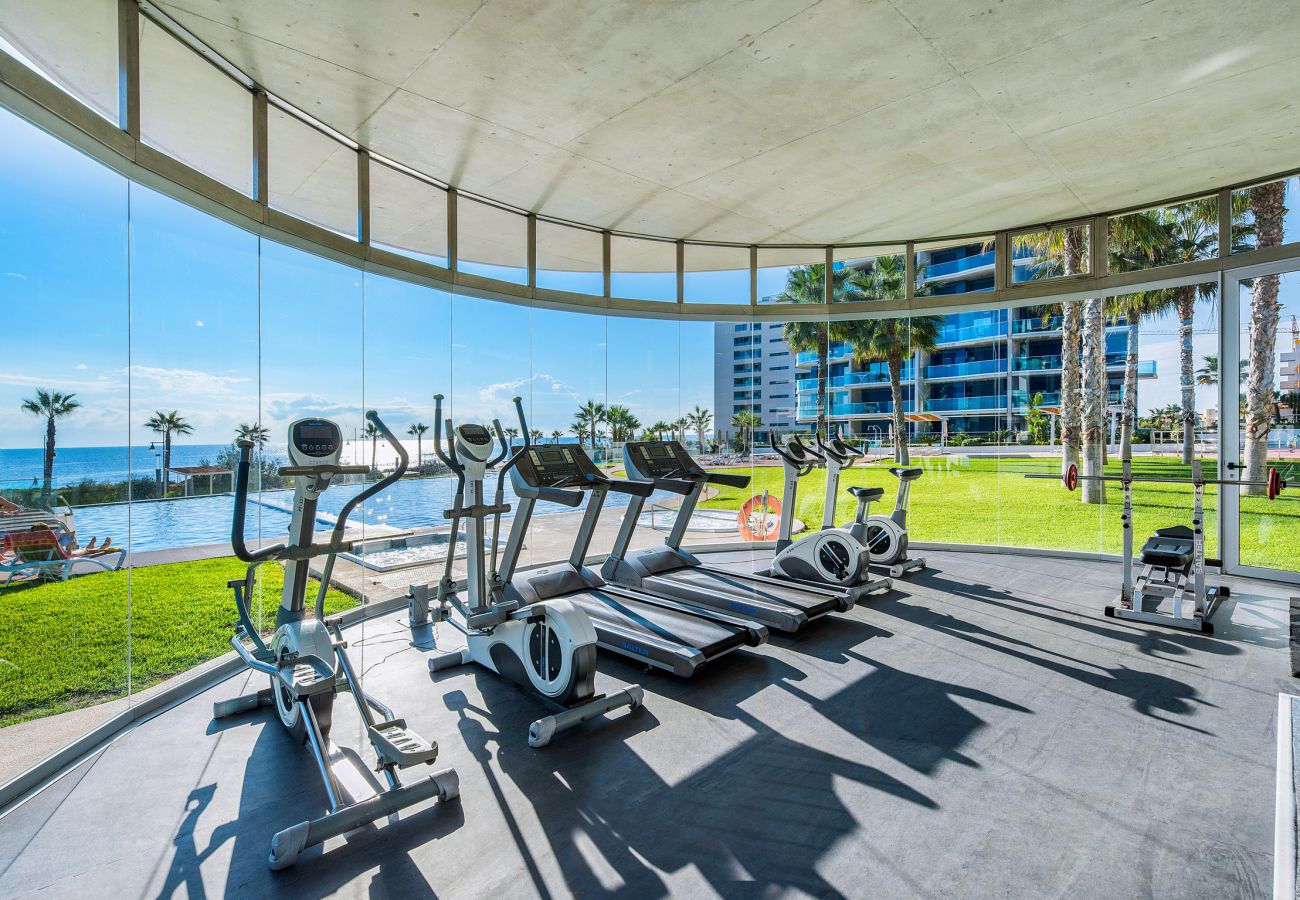 Apartamento en Torrevieja - 🅃 Sea Senses 6º33