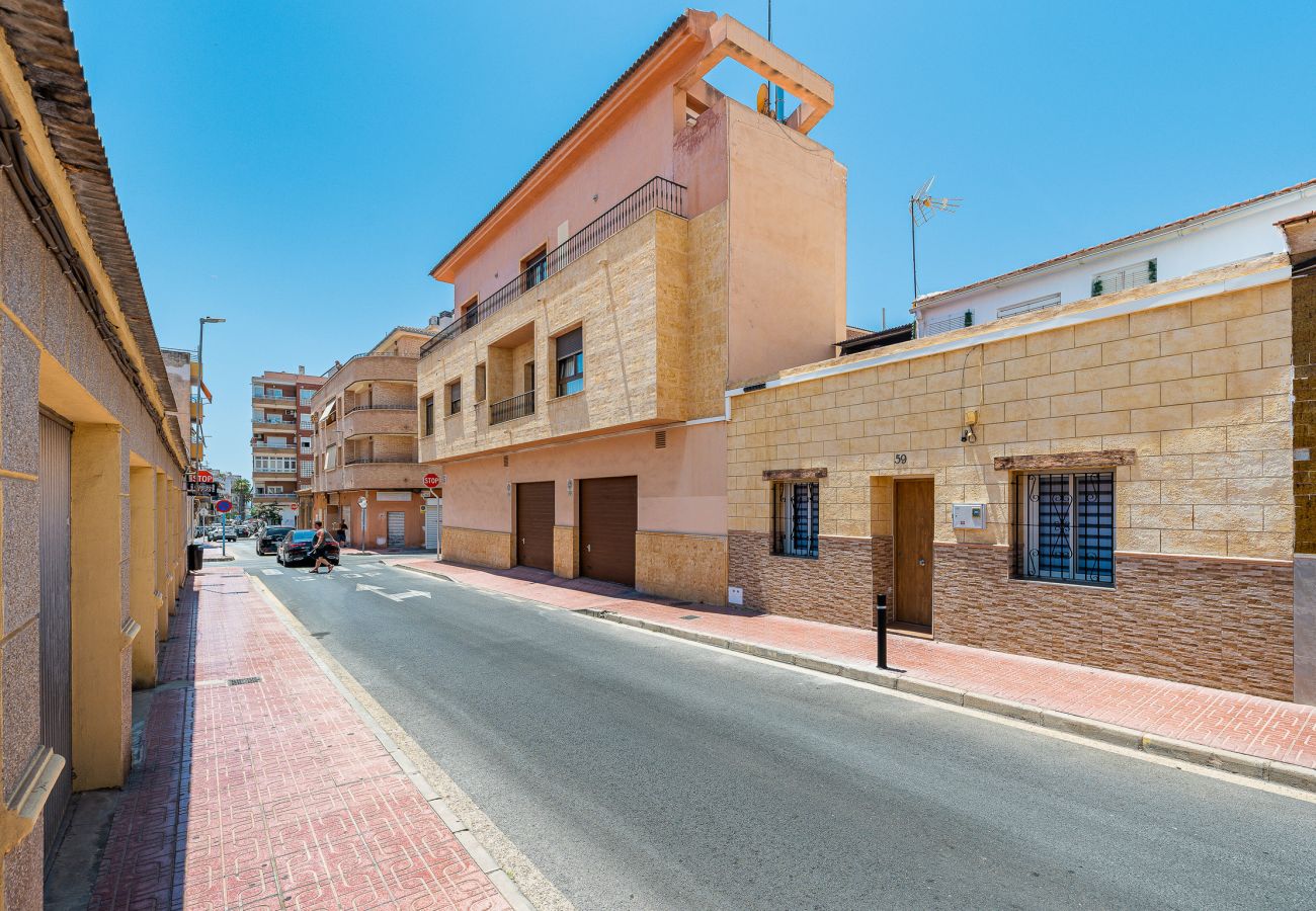 Estudio en Torrevieja - La Casica