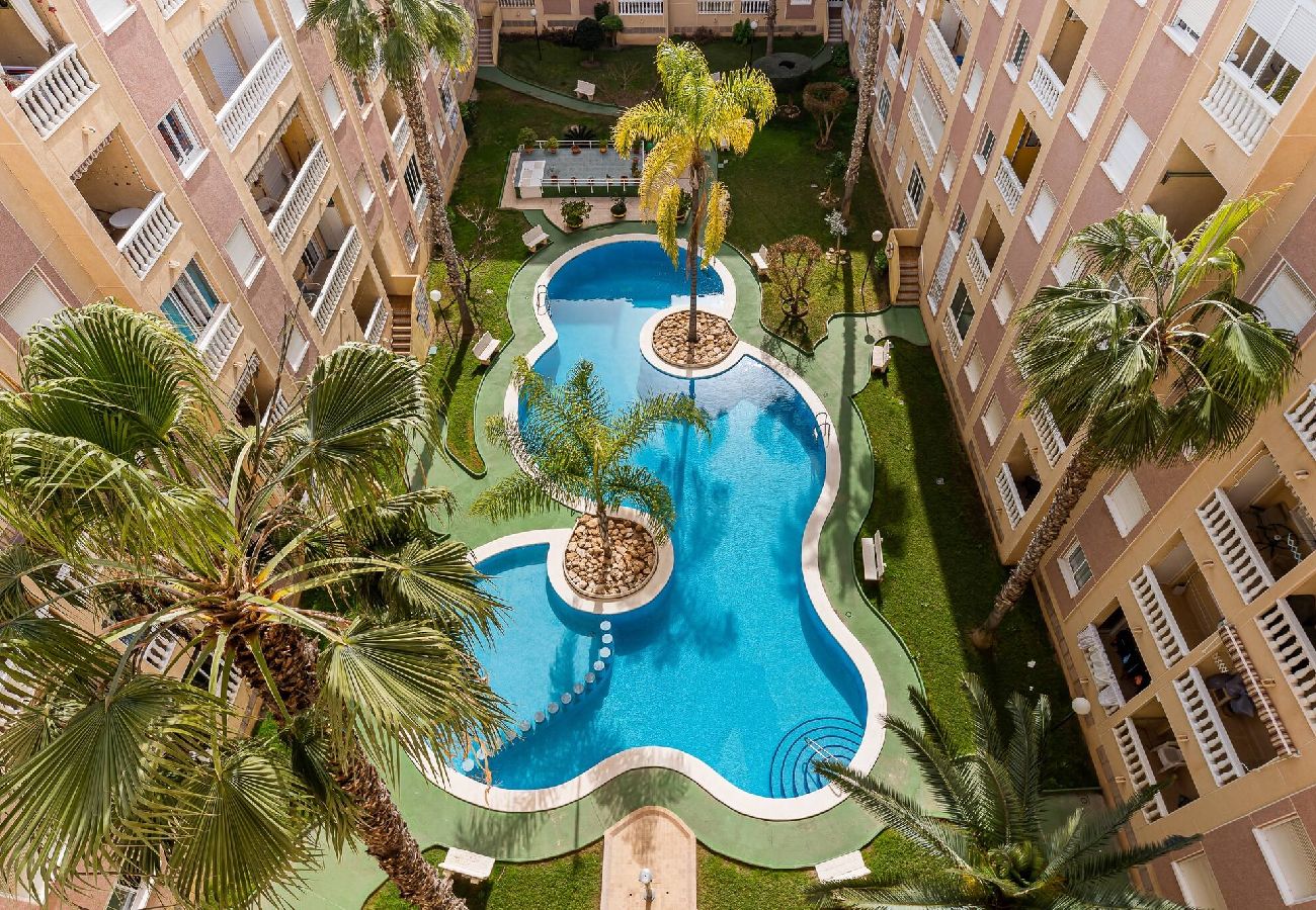 Ferienwohnung in Torrevieja - Atico San Julian