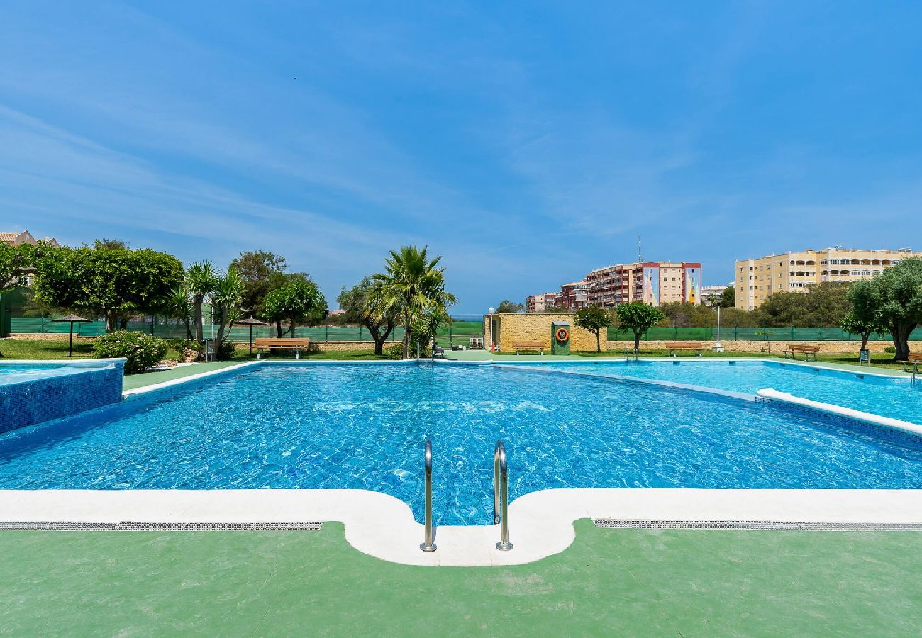 Ferienwohnung in Torrevieja - Perseo Sunrise - Apartamento