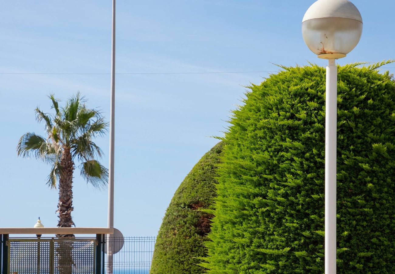 Ferienwohnung in Orihuela Costa - Atico Sunrise Aguamarina