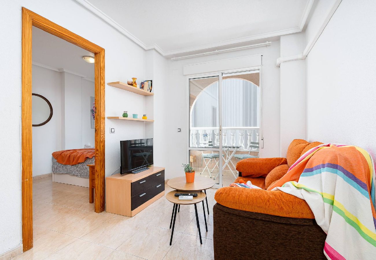 Ferienwohnung in Torrevieja - San Pascual 235A