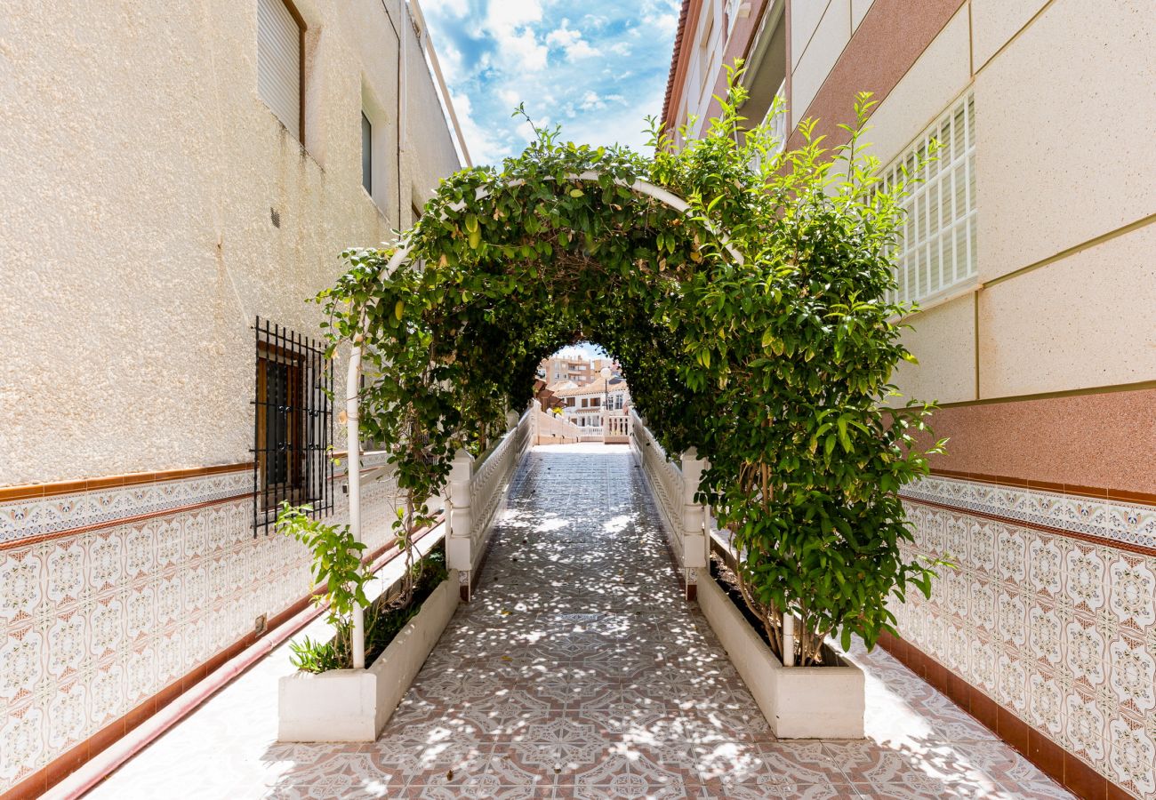 Ferienwohnung in Torrevieja - Noruega Sunrise - Apartamento