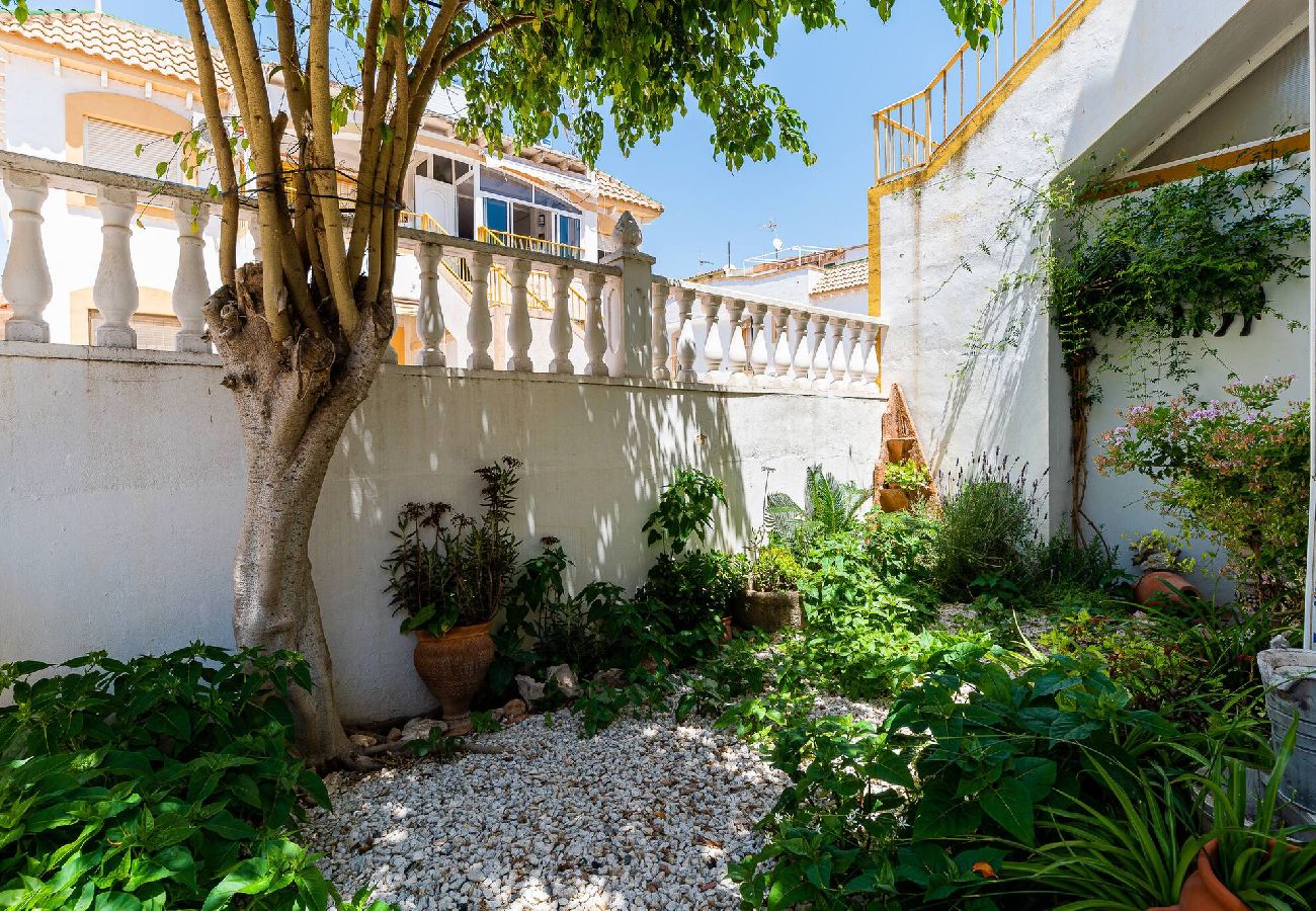 Ferienwohnung in Torrevieja - Naciones Sunrise - Apartamento