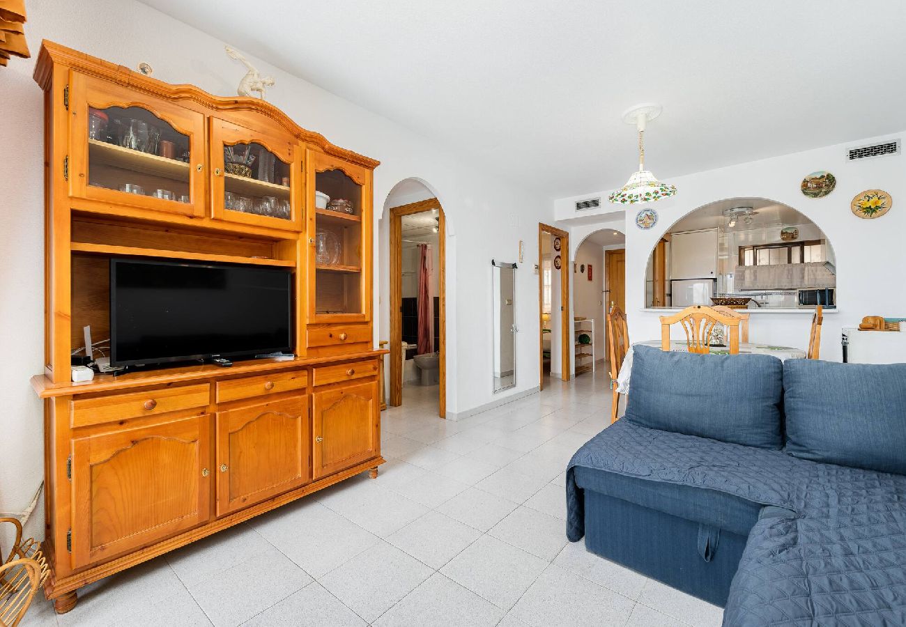 Ferienwohnung in Torrevieja - Jardín Botánico