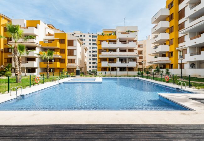 Ferienwohnung in Torrevieja - Tornado Apartamento