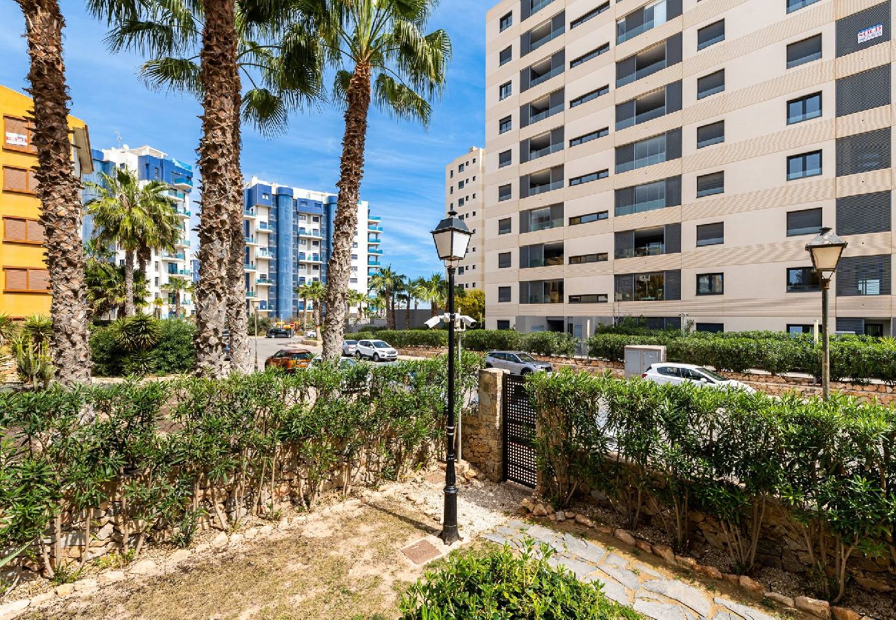 Ferienwohnung in Torrevieja - Tornado Apartamento