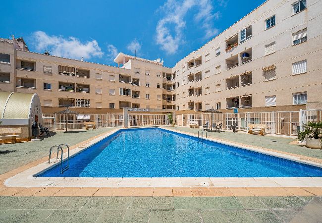 Ferienwohnung in Torrevieja - Rambla 115