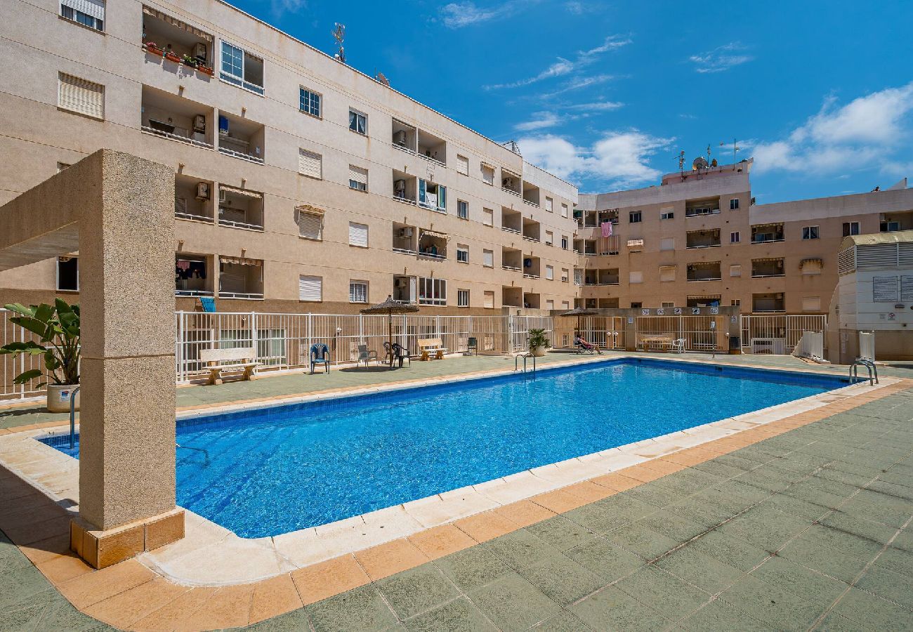 Ferienwohnung in Torrevieja - Rambla 115