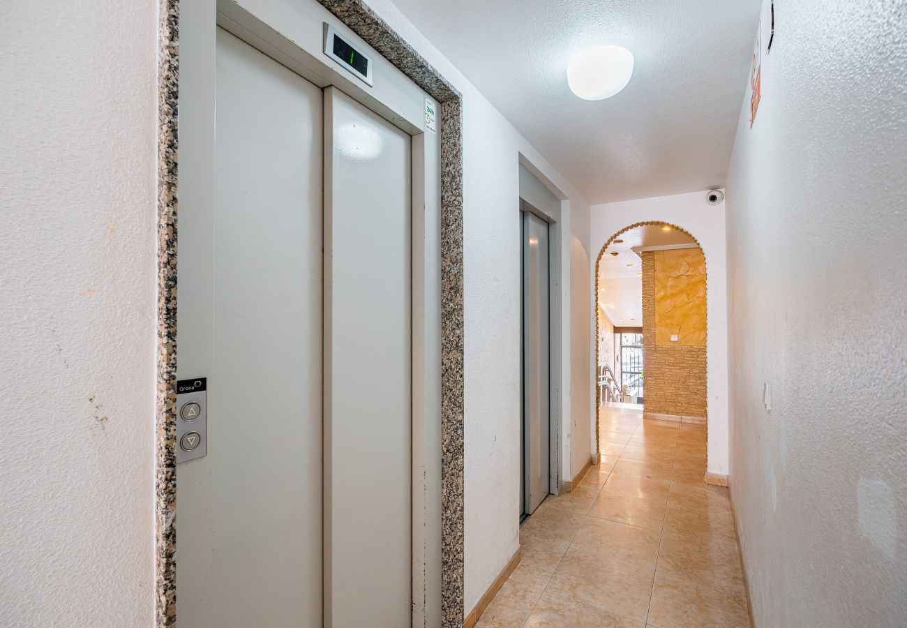 Ferienwohnung in Torrevieja - 🅃 Torresal
