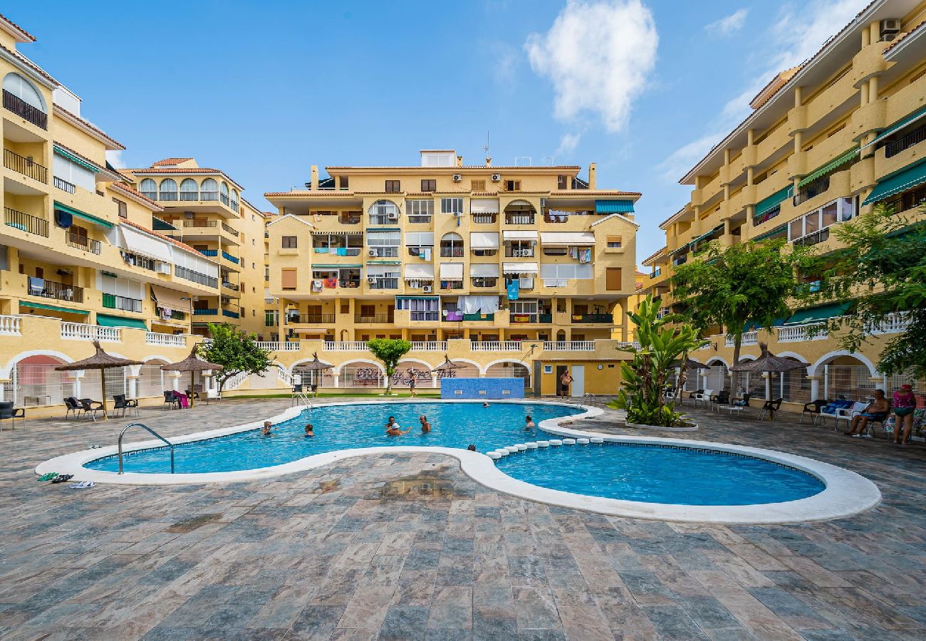 Ferienwohnung in La Mata - 🅃 La Mata Oasis Sunrise