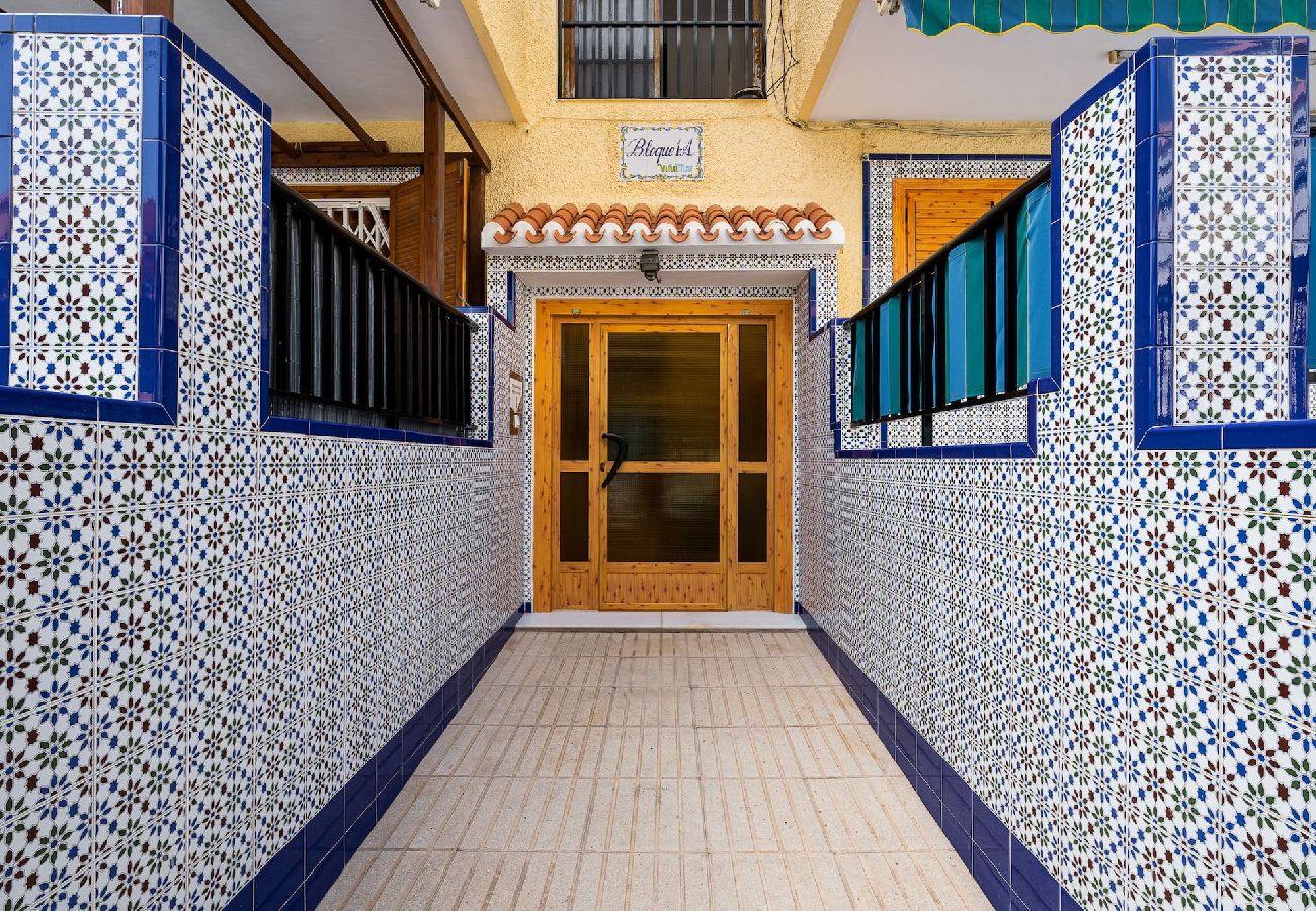 Ferienwohnung in La Mata - 🅃 La Mata Oasis Sunrise