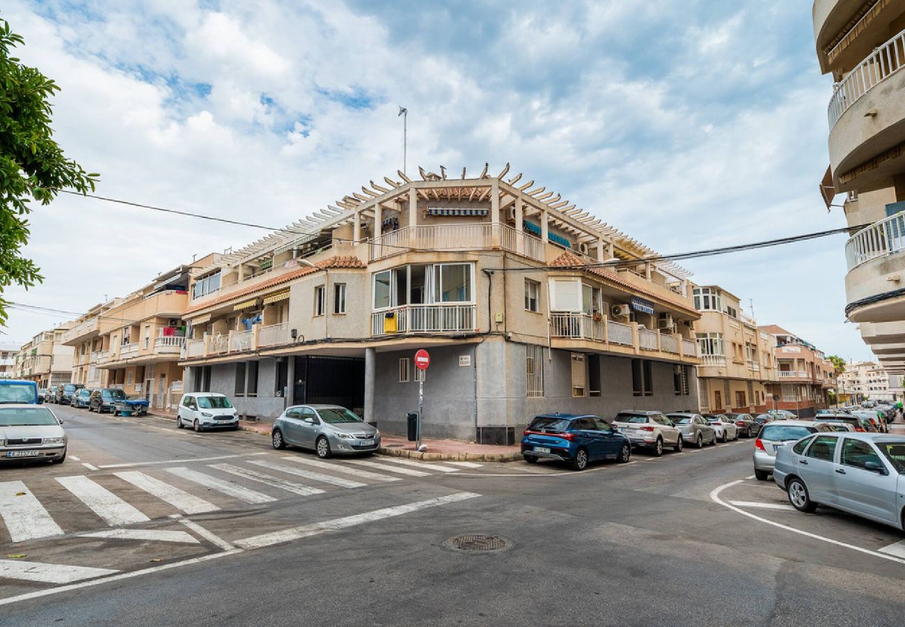 Ferienwohnung in Torrevieja - 🅃 Blanco Sunrise