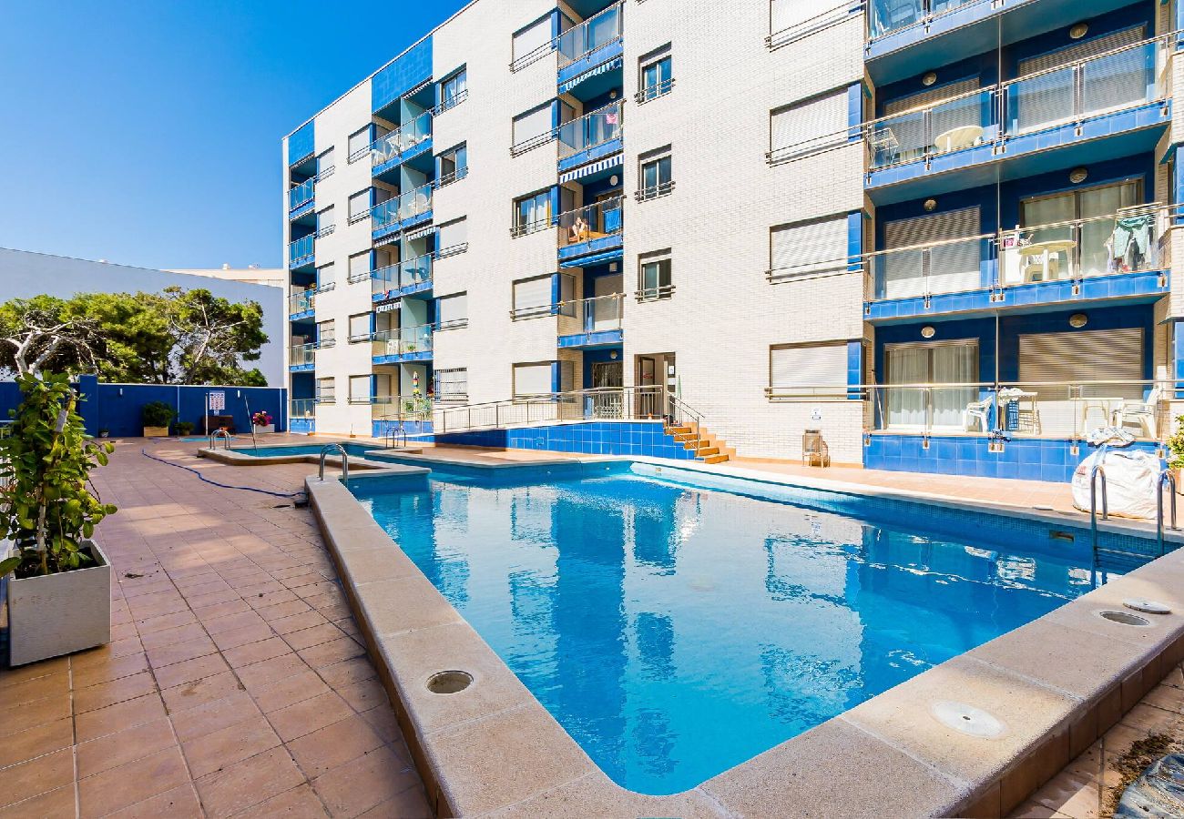 Ferienwohnung in Torrevieja - Orbiplaya 2