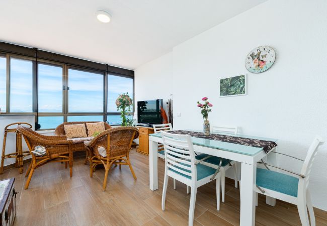 Ferienwohnung in Torrevieja - 🅃 Sunrise Miramar