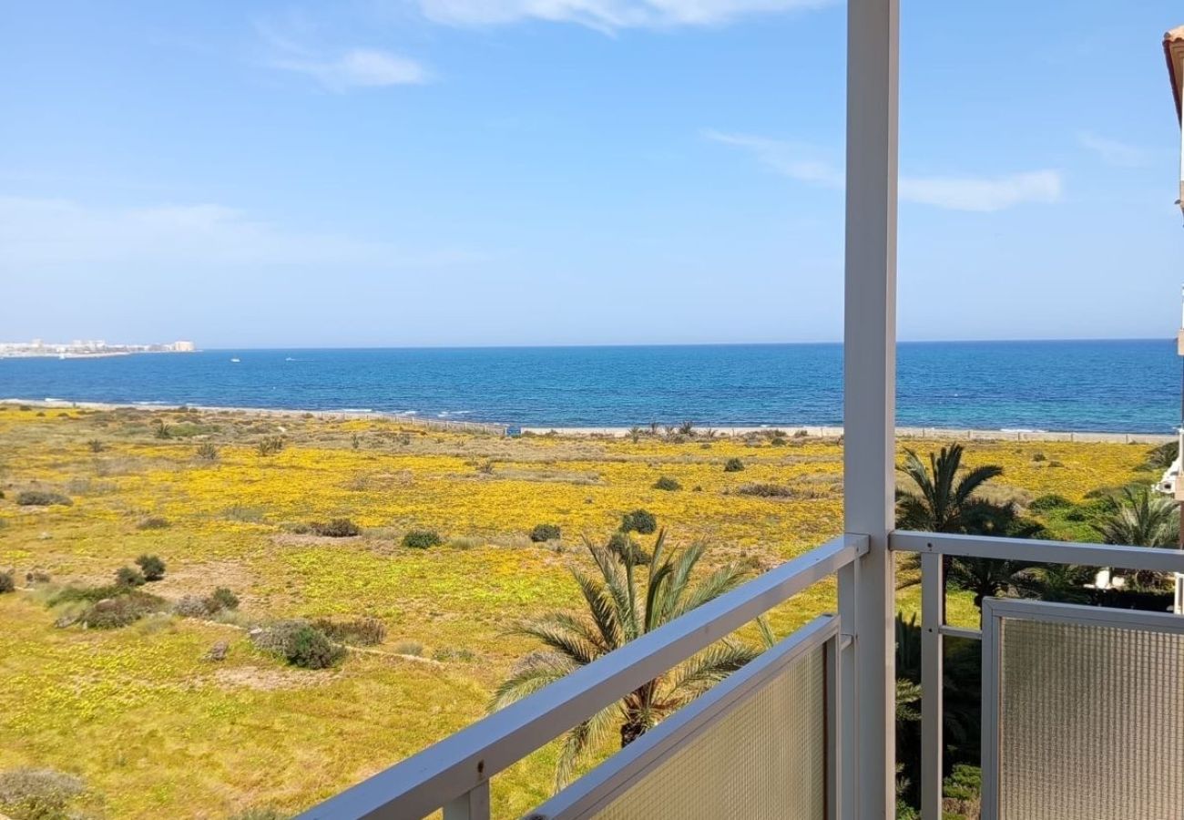 Ferienwohnung in Torrevieja - 🅃 Sunrise Pleamar