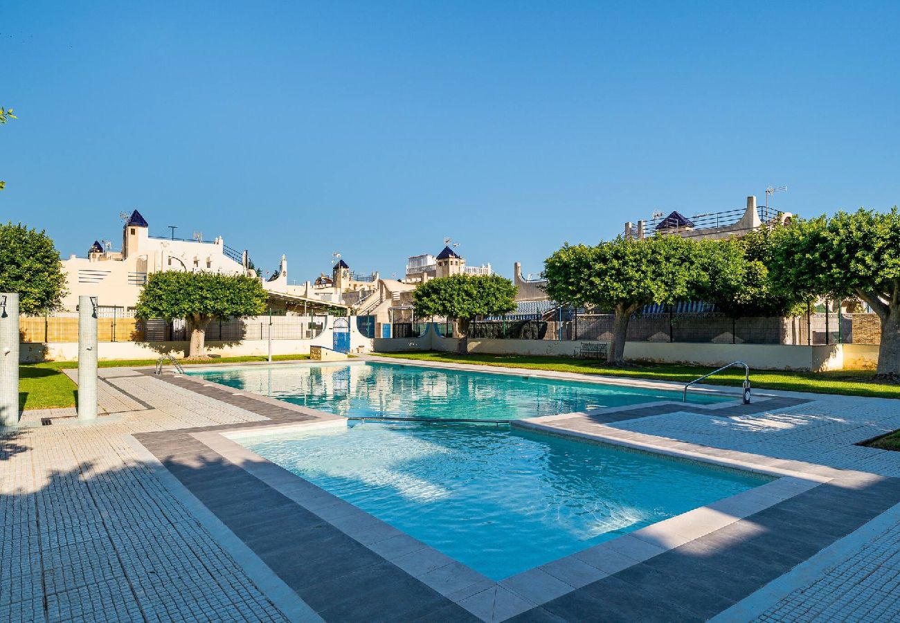 House in Torrevieja - The Lemon Tree House