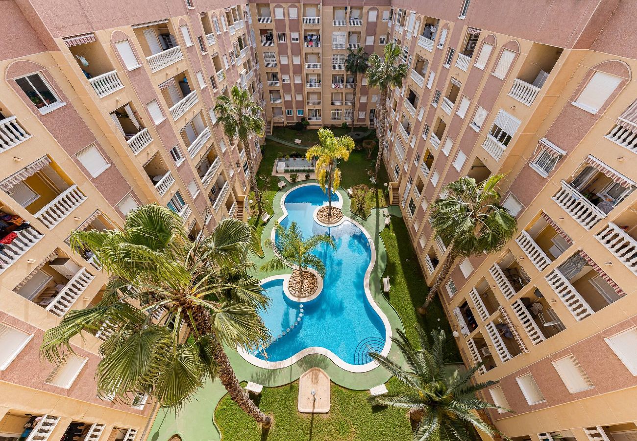 Apartment in Torrevieja - Atico San Julian