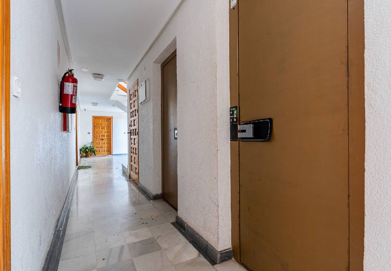 Apartment in Torrevieja - Estocolmo Estudio Sunrise