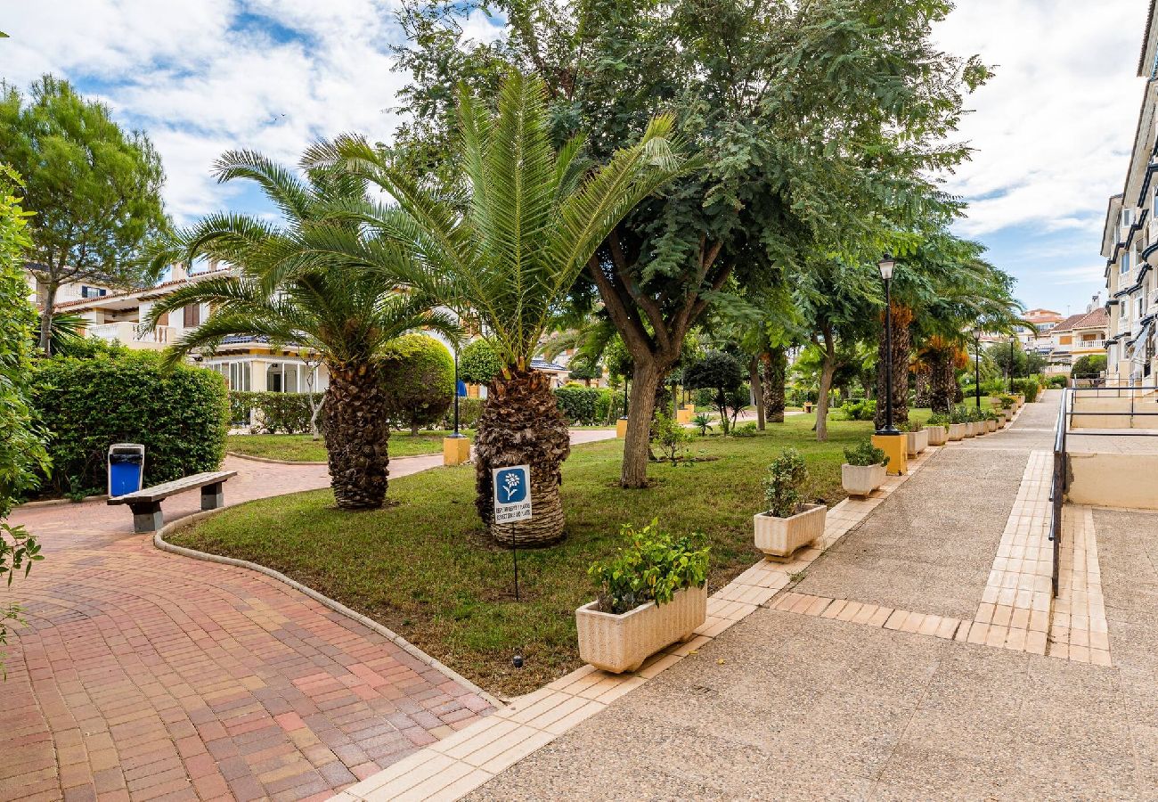 Apartment in Torrevieja - Parquemar Sunrise