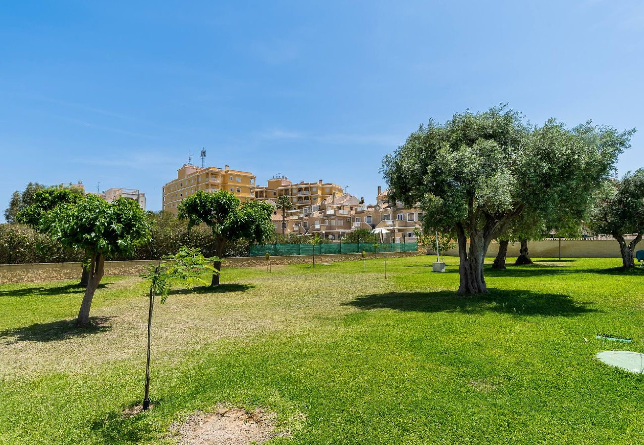 Apartment in Torrevieja - Perseo Sunrise - Apartamento
