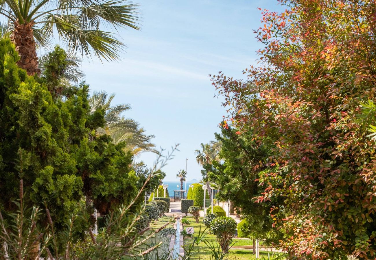 Apartment in Orihuela Costa - Atico Sunrise Aguamarina