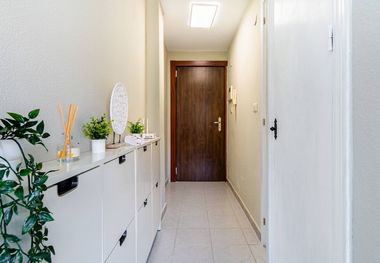 Apartment in Torrevieja - Estudio Aquiles Sunrise